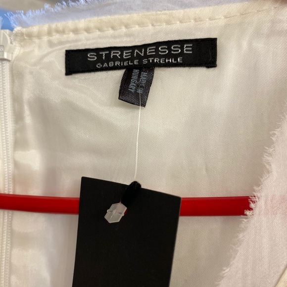 NWT Ivory colored sumptuous elegant dress - Picture 5 of 6